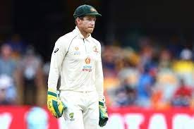Cricket Tasmania slams 'appalling' Paine treatment