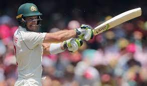 Cricket Tasmania slams 'appalling' Paine treatment