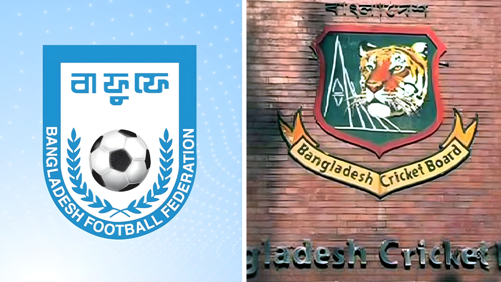 বাফুফের চিঠিতে বিসিবির জবাব—আসিফের মন্তব্য ‘ব্যক্তিগত জানাল বোর্ড Cricket Gurukul, GOLN | English