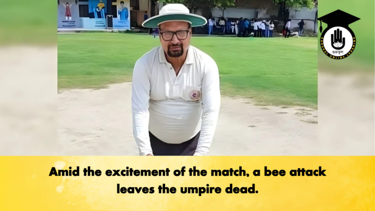Amid the excitement of the match, a bee attack leaves the umpire dead.