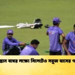 Green Surface Prepared in Sylhet for Series Decider